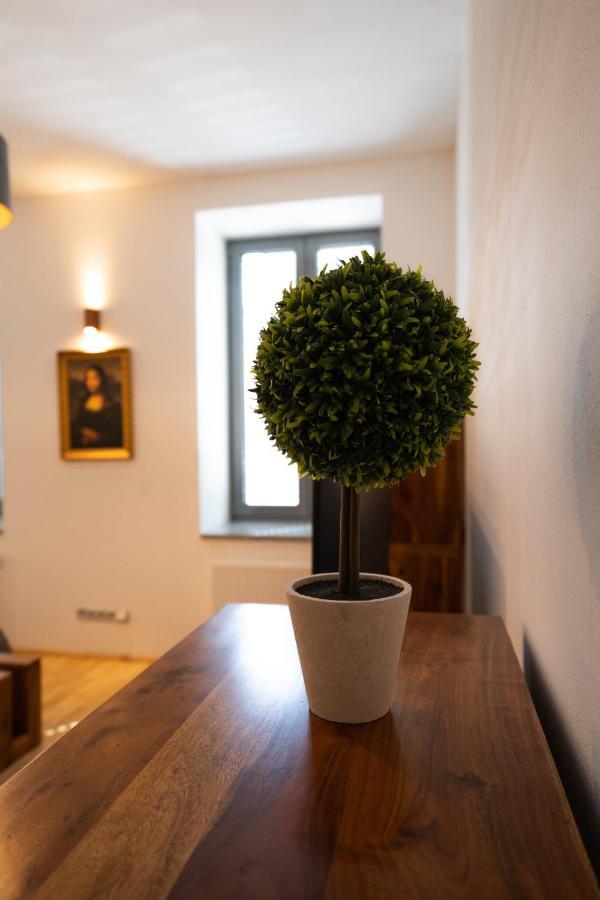 Black Field Apartment Brno Bagian luar foto