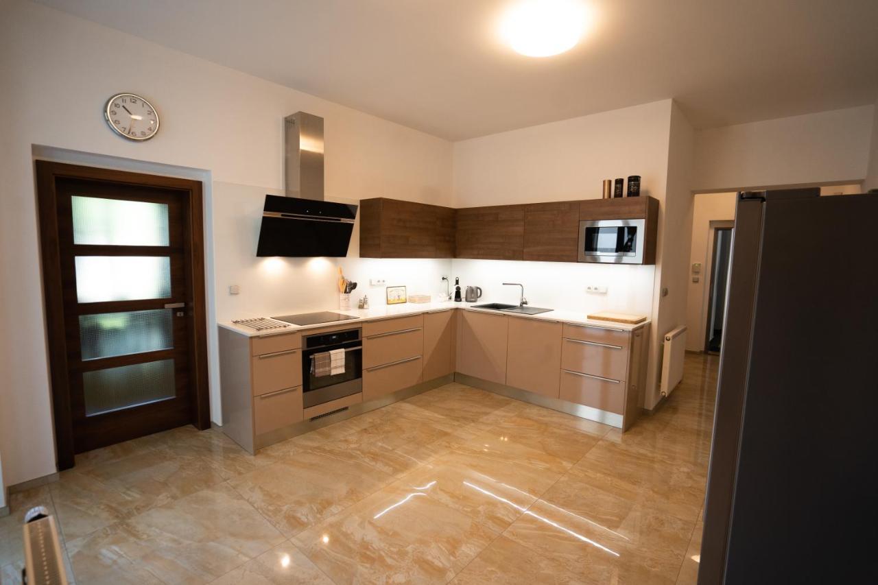 Black Field Apartment Brno Bagian luar foto